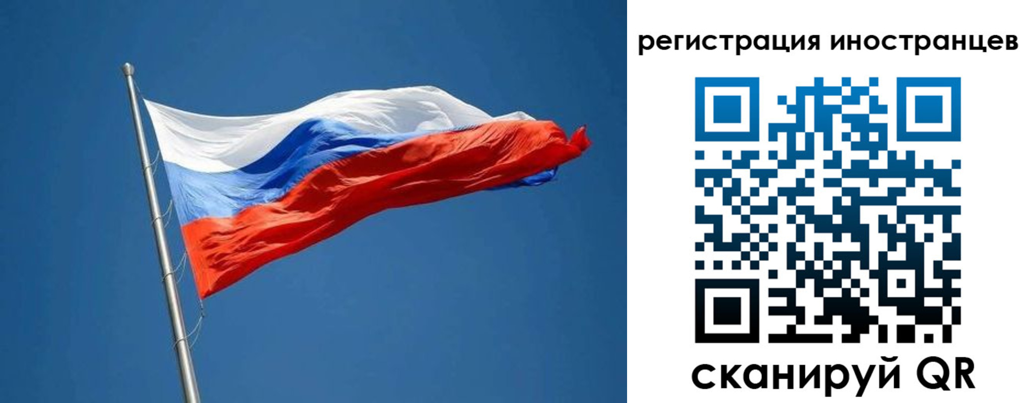 прописка в Каргополе